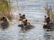 Katmai National Park & Preserve