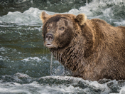 Katmai National Park & Preserve