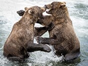 Katmai National Park & Preserve