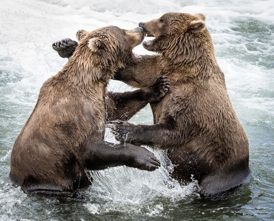 Katmai National Park & Preserve