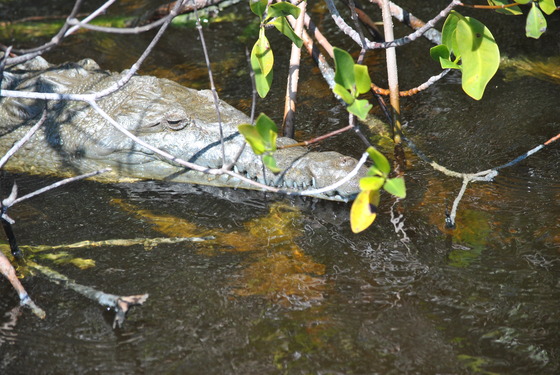 Everglades National Park
