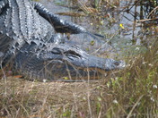 Everglades National Park