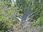 Everglades National Park