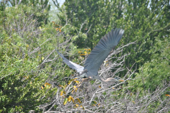 Everglades National Park