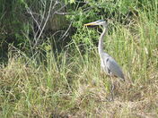 Everglades National Park