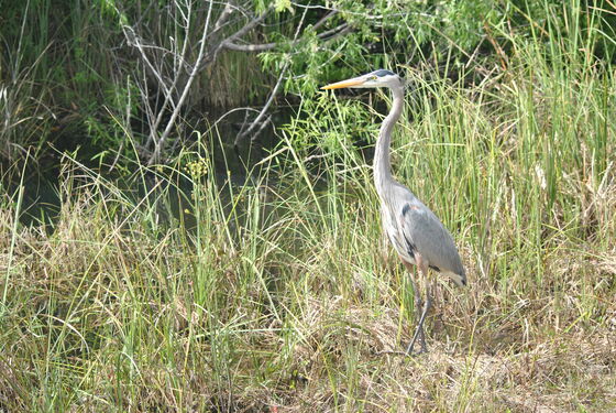 Everglades National Park