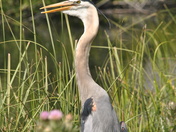 Everglades National Park
