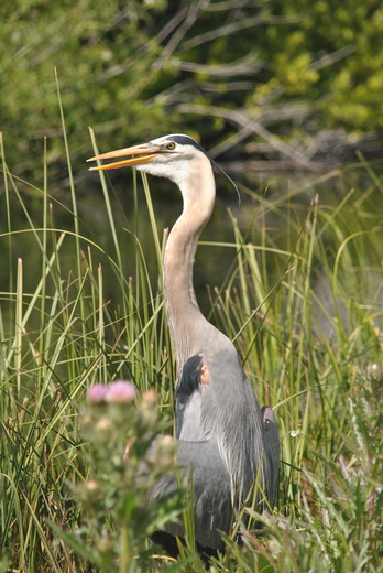 Everglades National Park