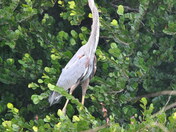 Everglades National Park