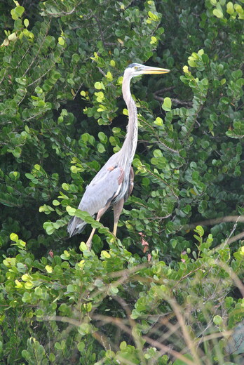 Everglades National Park