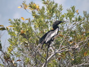 Everglades National Park