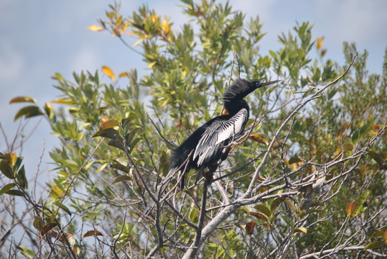 Everglades National Park