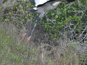 Everglades National Park