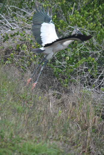 Everglades National Park