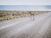 Owyhee National Recreation Area