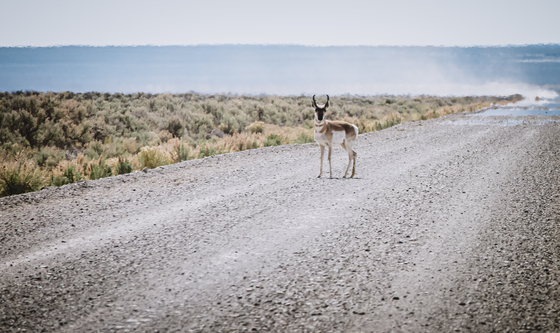 Owyhee National Recreation Area