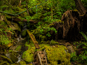 North Cascades National Park