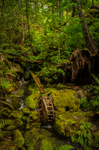 North Cascades National Park