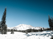 Shasta Trinity National Forest 