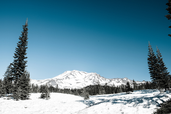 Shasta Trinity National Forest 