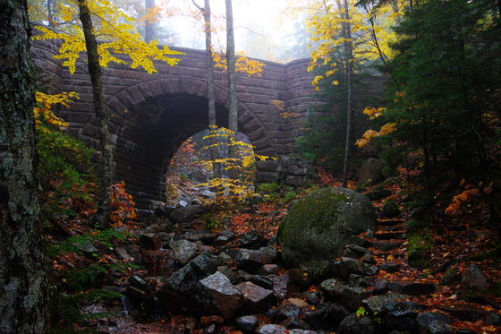 Acadia National Park