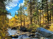 Inyo National Forest