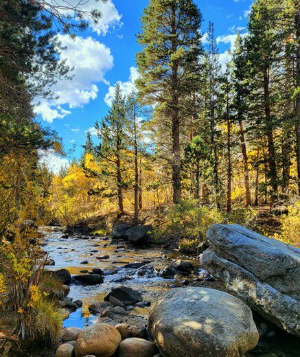 Inyo National Forest