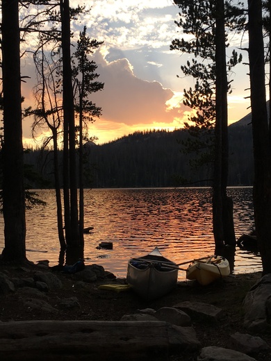 Uintah National Forest