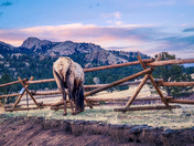 Rocky Mountain National Park