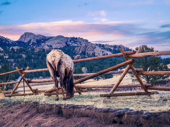 Rocky Mountain National Park