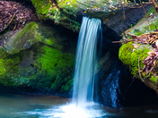 Daniel Boone National Forest