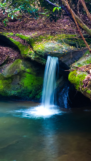 Daniel Boone National Forest