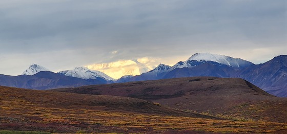 Denali National Park and Park