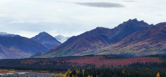 Denali National Park and Preserve