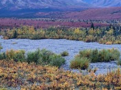 Denali National Park and Preserve
