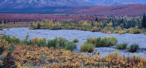 Denali National Park and Preserve