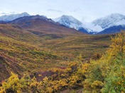 Denali National Park and Preserve