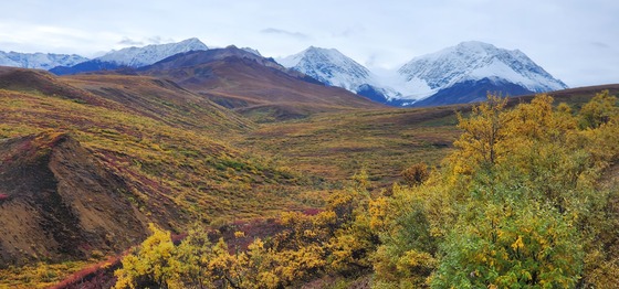 Denali National Park and Preserve
