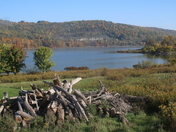 Cowenesque Lake Recreation Area