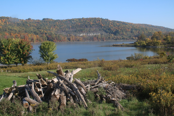 Cowenesque Lake Recreation Area