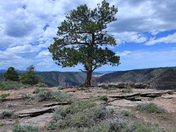 Flaming Gorge National Recreation Area