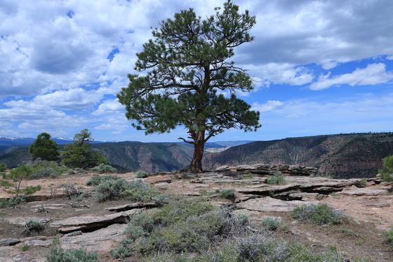 Flaming Gorge National Recreation Area