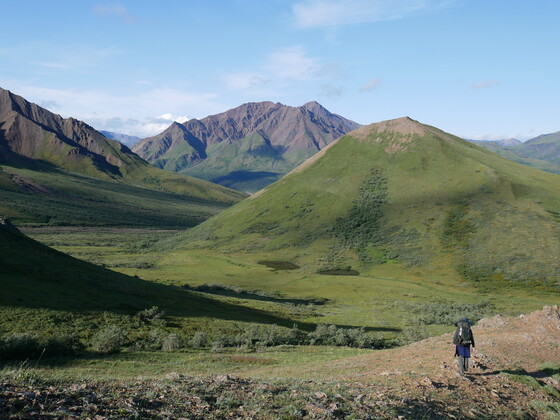 Denali National Park and Preserve