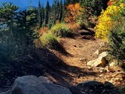 Mount Rainier National Park