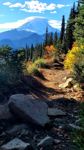 Mount Rainier National Park