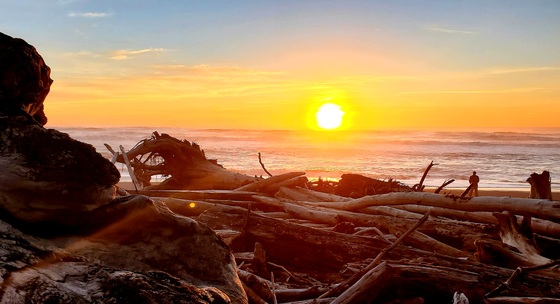 Olympic National Park