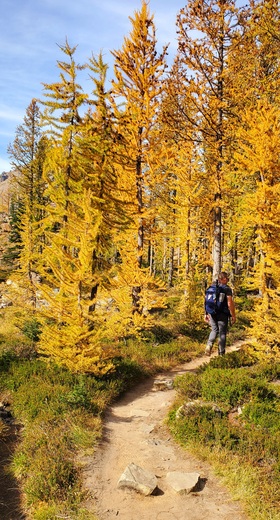 Okanogan-Wenatchee National Forest