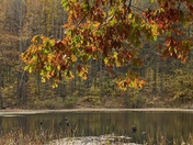 Crosley Fish & Wildlife Area