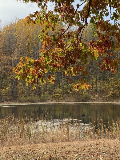 Crosley Fish & Wildlife Area