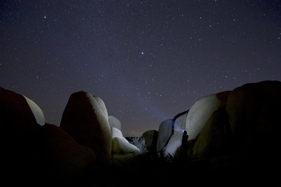 Joshua Tree National Park